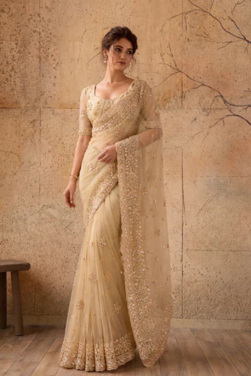 Beige Gold Net Saree with Hand Embroidery with Stitched Blouse