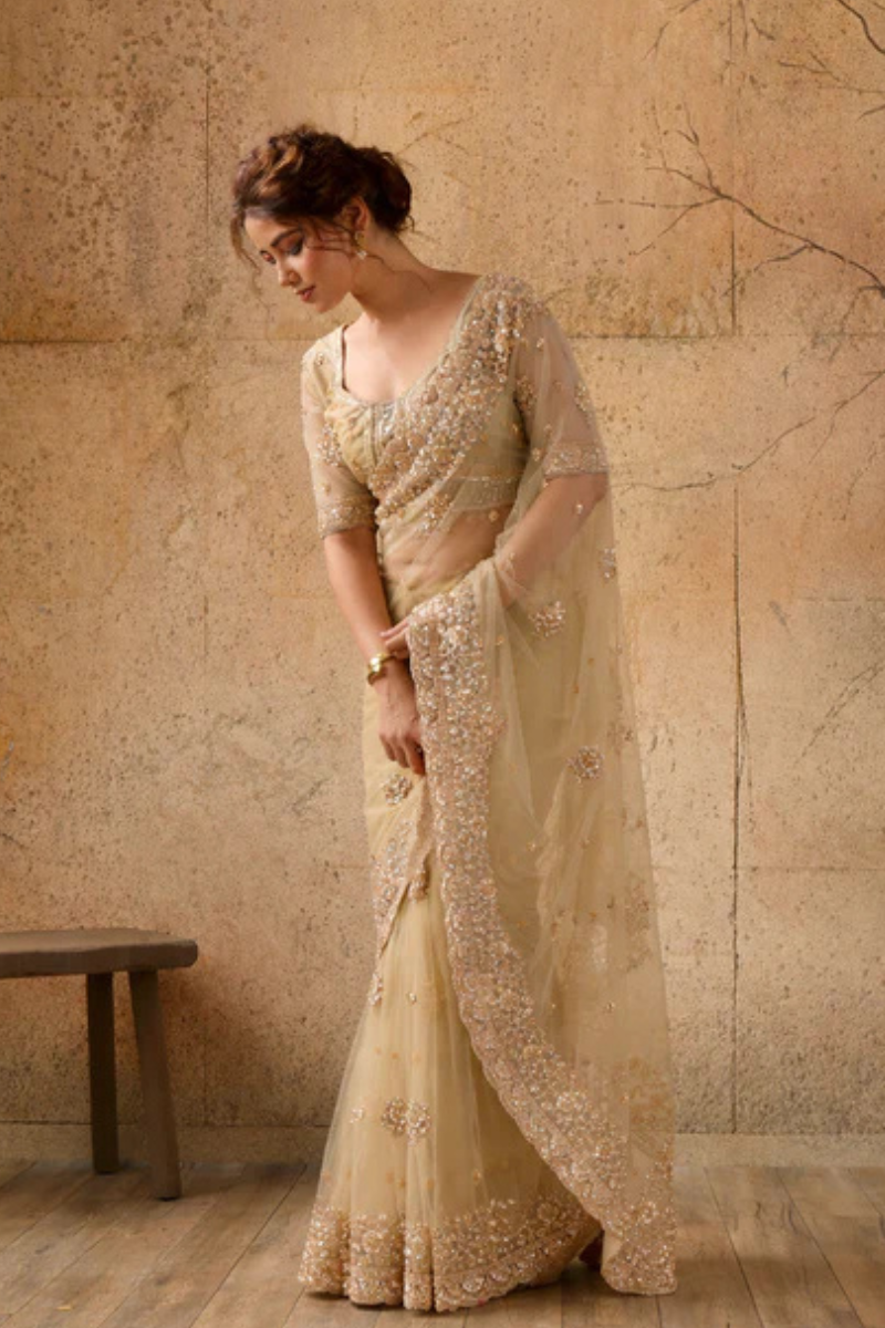 Beige Gold Net Saree with Hand Embroidery with Stitched Blouse