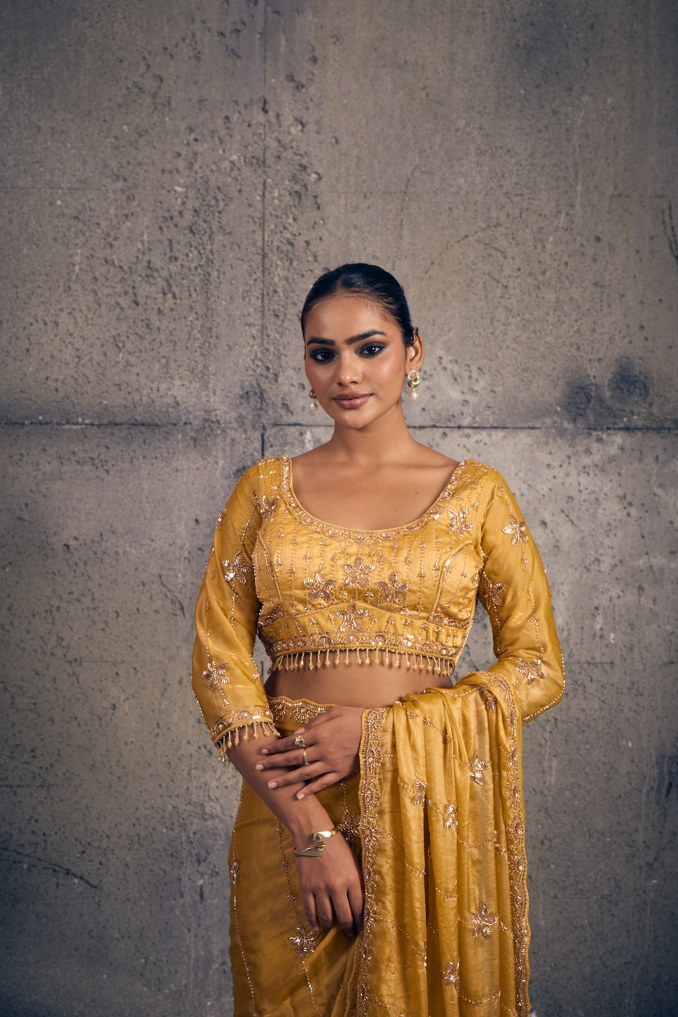 Yellow Tissue Silk Saree with Hand Embroidery with Stitched Blouse