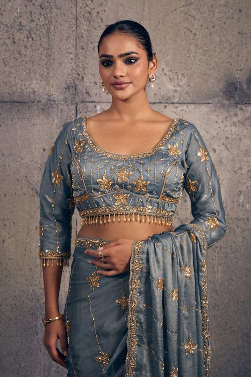 Golden Grey Tissue Silk Saree with Hand Embroidery with Stitched Blouse